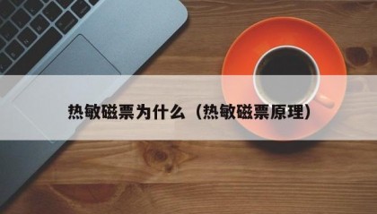 热敏磁票为什么（热敏磁票原理）