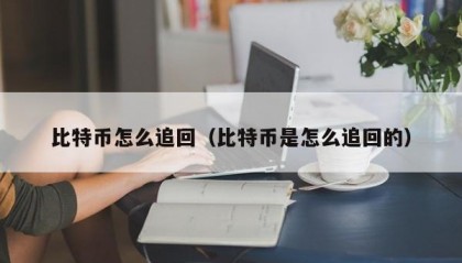 比特币怎么追回（比特币是怎么追回的）