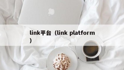 link平台（link platform）