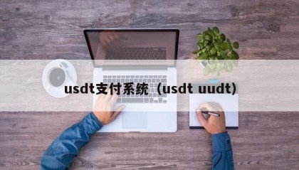 usdt支付系统（usdt uudt）