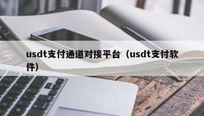 usdt支付通道对接平台（usdt支付软件）