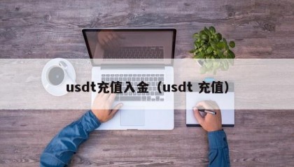 usdt充值入金（usdt 充值）